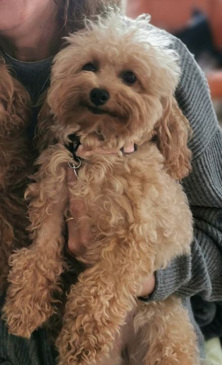 Awesome Product Image