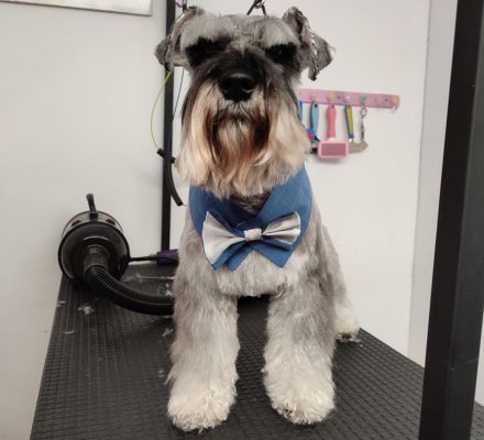 Awesome Product Image