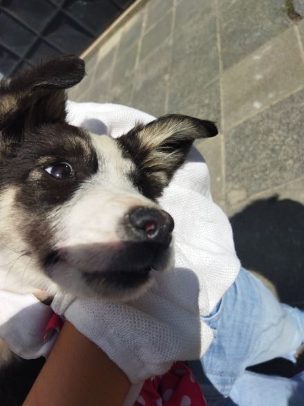 Awesome Product Image