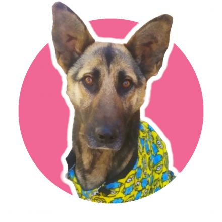 Awesome Product Image