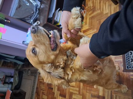 Awesome Product Image