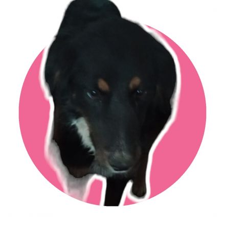 Awesome Product Image