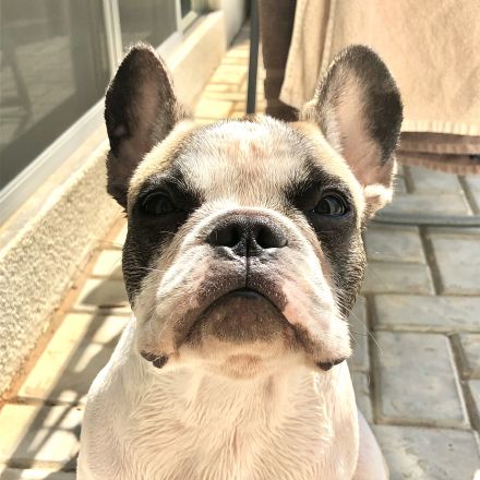 Awesome Product Image