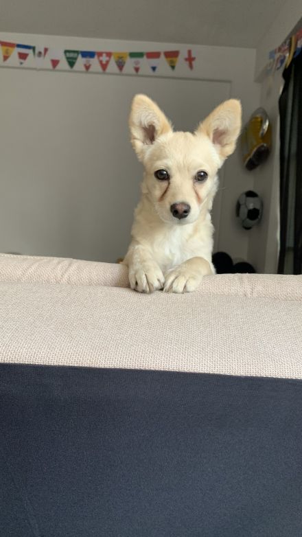 Awesome Product Image