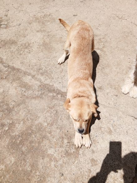 Awesome Product Image