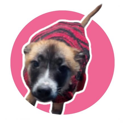 Awesome Product Image