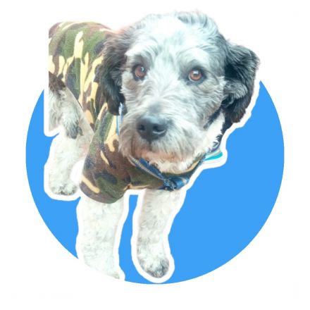 Awesome Product Image