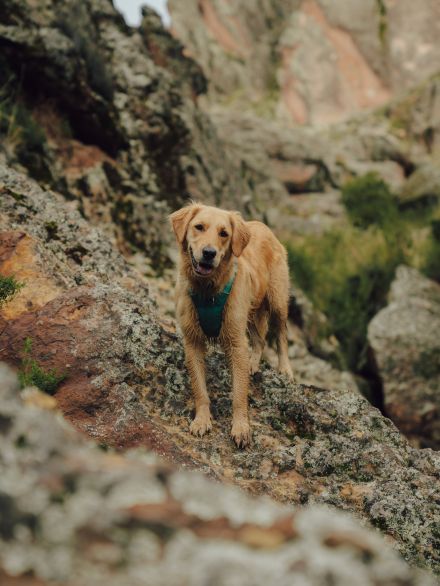 Awesome Product Image