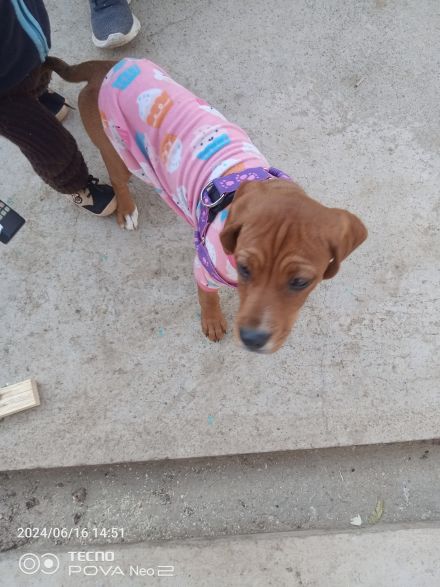 Awesome Product Image