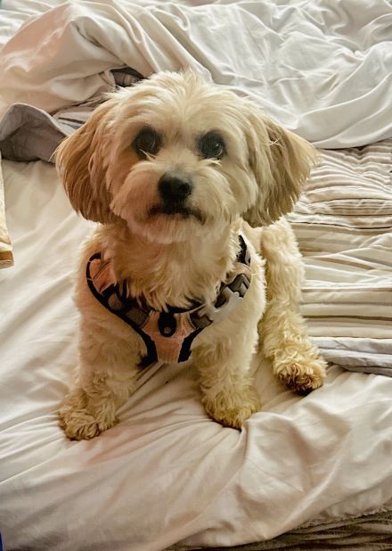 Awesome Product Image