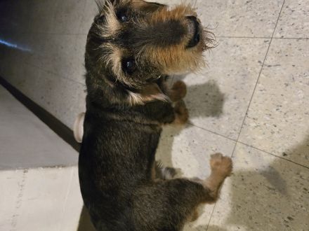 Awesome Product Image