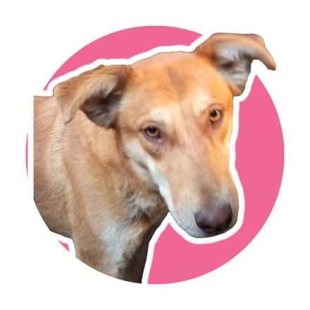 Awesome Product Image