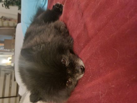 Awesome Product Image