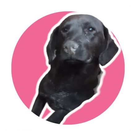 Awesome Product Image