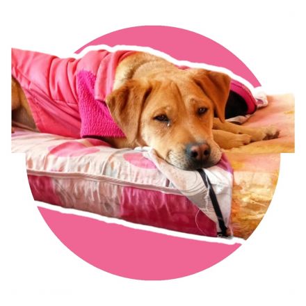 Awesome Product Image