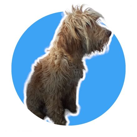 Awesome Product Image