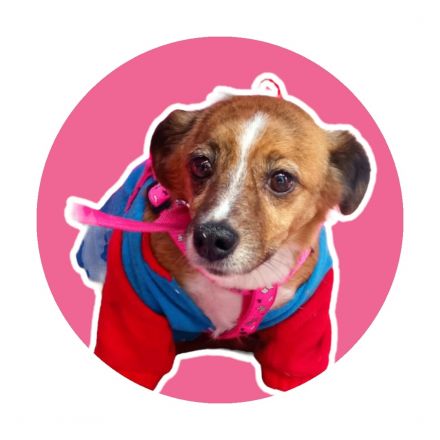 Awesome Product Image