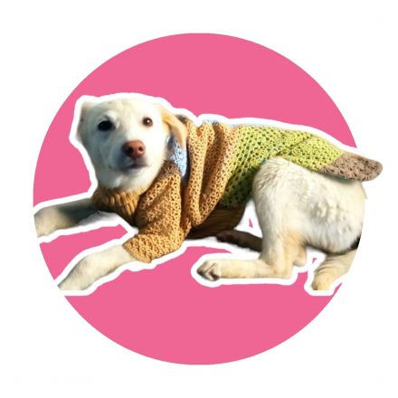 Awesome Product Image