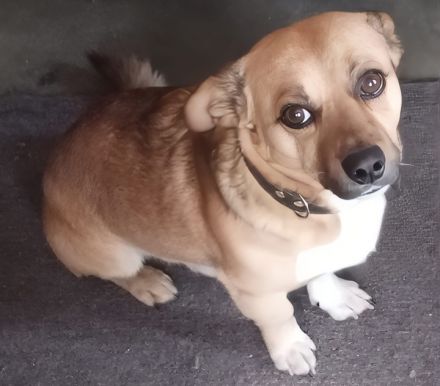 Awesome Product Image