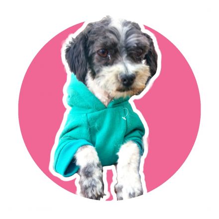 Awesome Product Image