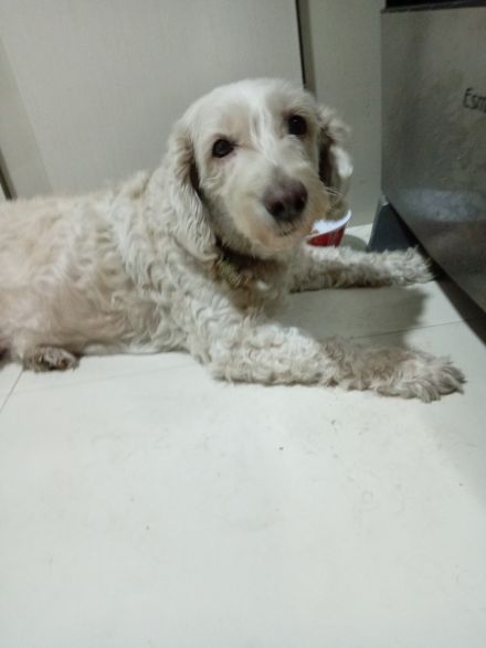 Awesome Product Image