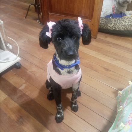 Awesome Product Image