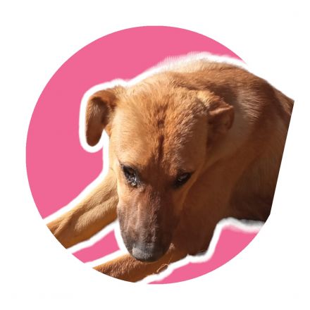 Awesome Product Image