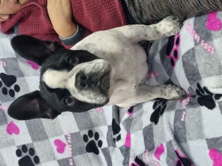 Awesome Product Image