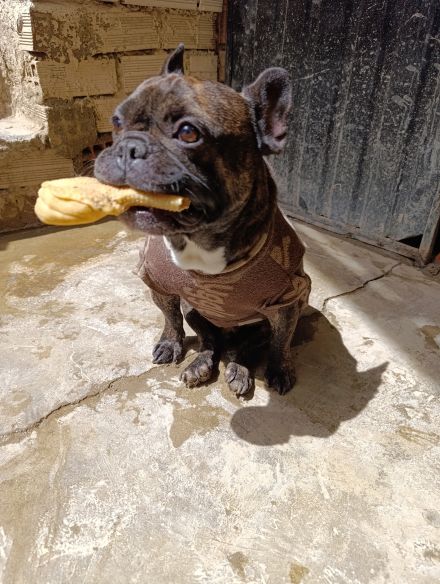 Awesome Product Image