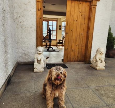 Awesome Product Image