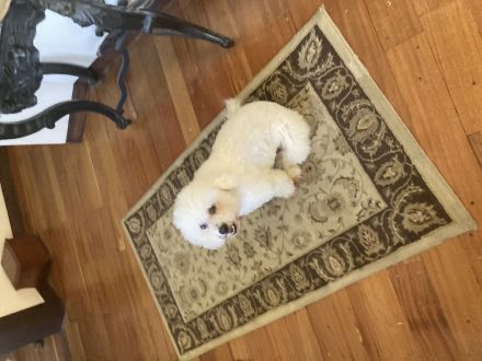 Awesome Product Image