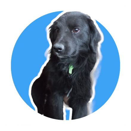 Awesome Product Image