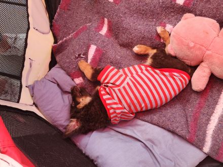 Awesome Product Image