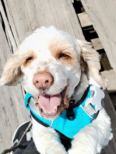 Awesome Product Image