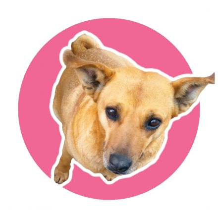 Awesome Product Image