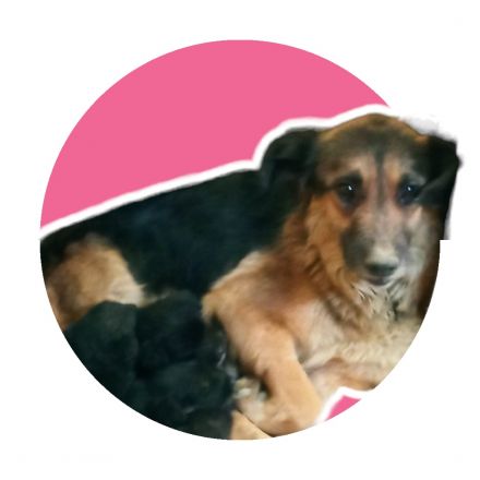 Awesome Product Image