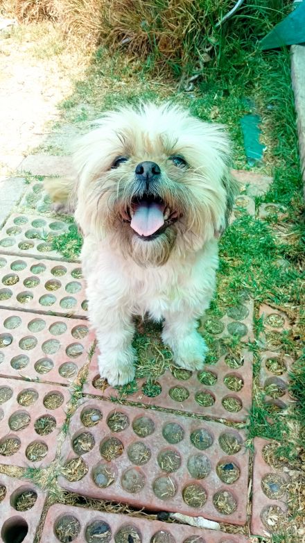 Awesome Product Image