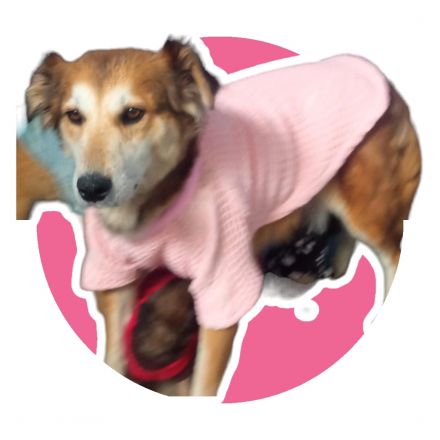 Awesome Product Image