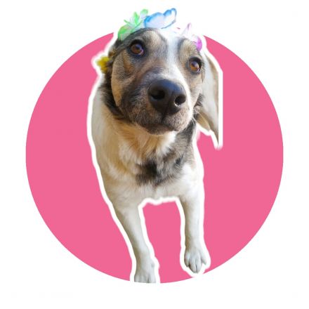 Awesome Product Image