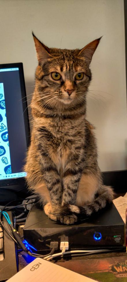 Awesome Product Image