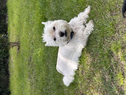 Awesome Product Image