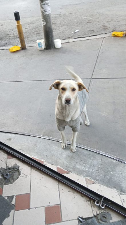 Awesome Product Image