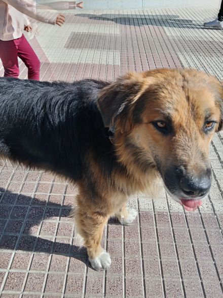 Awesome Product Image