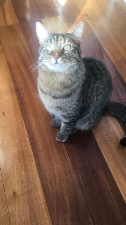 Awesome Product Image