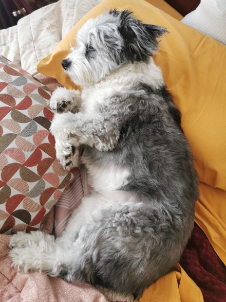 Awesome Product Image