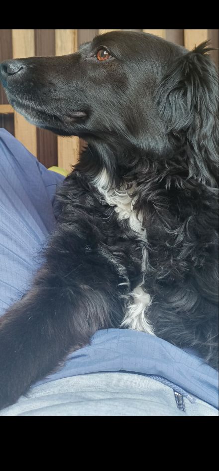 Awesome Product Image