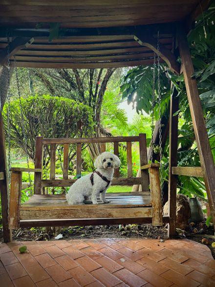 Awesome Product Image