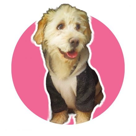 Awesome Product Image