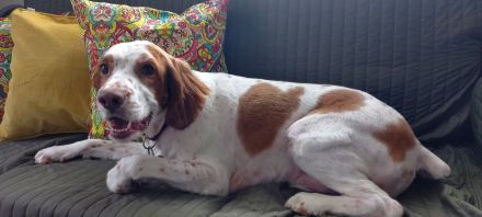 Awesome Product Image